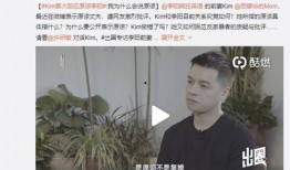 刘有才前妻爆料视频播放,揭秘婚姻背后的真相